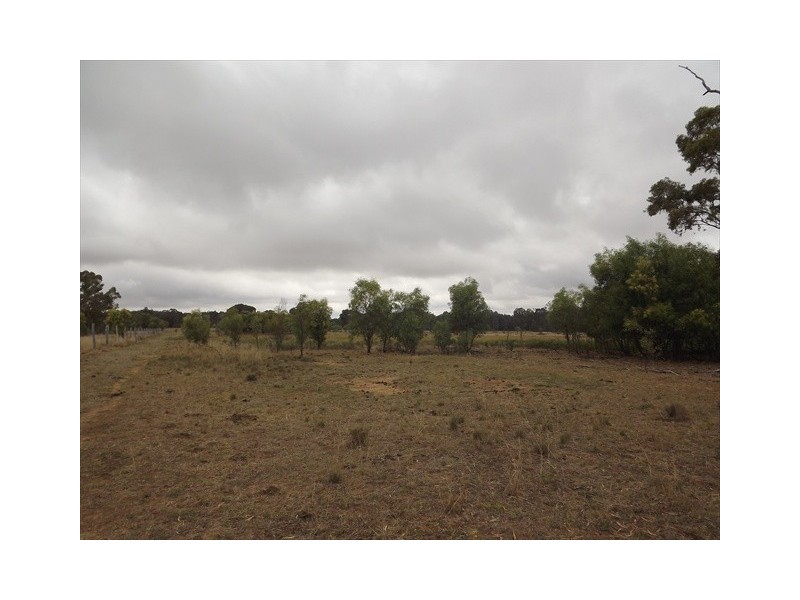 “Cooladie” Oxley Highway, Coonabarabran NSW 2357