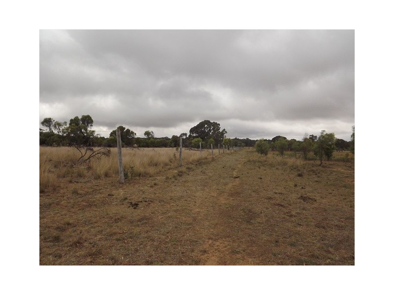 “Cooladie” Oxley Highway, Coonabarabran NSW 2357