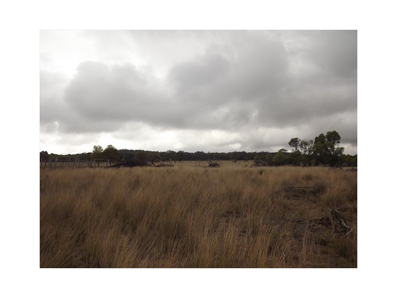 “Cooladie” Oxley Highway, Coonabarabran NSW 2357