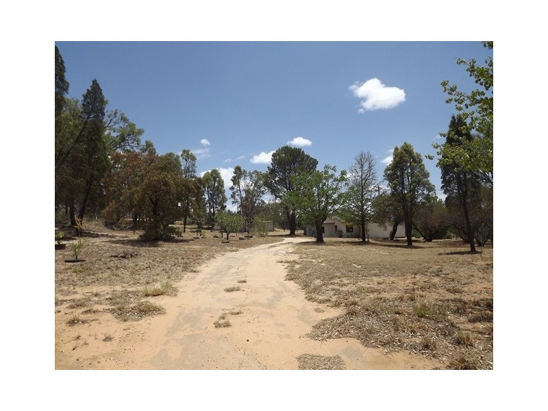 272 River Road, Coonabarabran NSW 2357