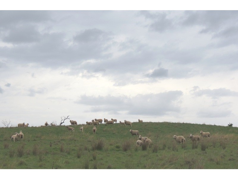 “Glen View” Burrendong Way, Stuart Town NSW 2820