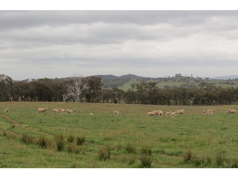 “Glen View” Burrendong Way, Stuart Town NSW 2820
