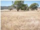 1 Sullings Lane, Quirindi NSW 2343