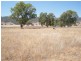 1 Sullings Lane, Quirindi NSW 2343