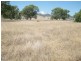 1 Sullings Lane, Quirindi NSW 2343