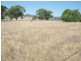 1 Sullings Lane, Quirindi NSW 2343