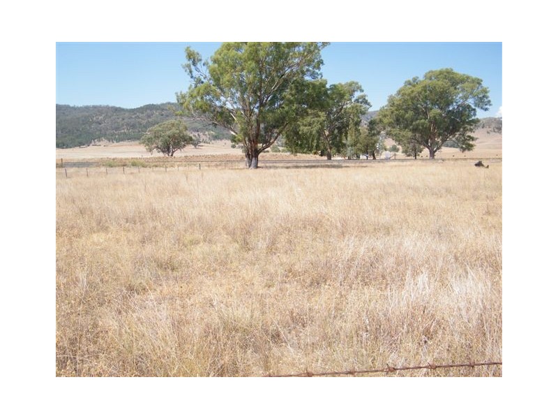 1 Sullings Lane, Quirindi NSW 2343