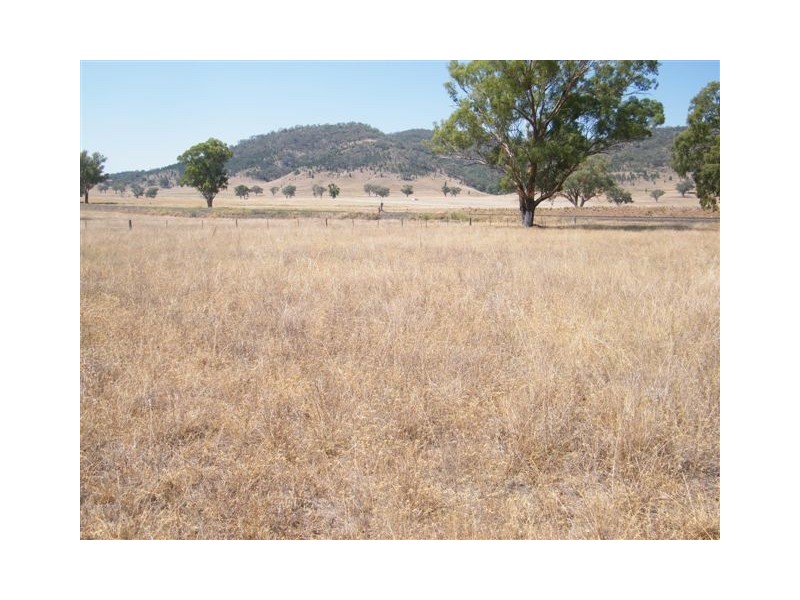 1 Sullings Lane, Quirindi NSW 2343