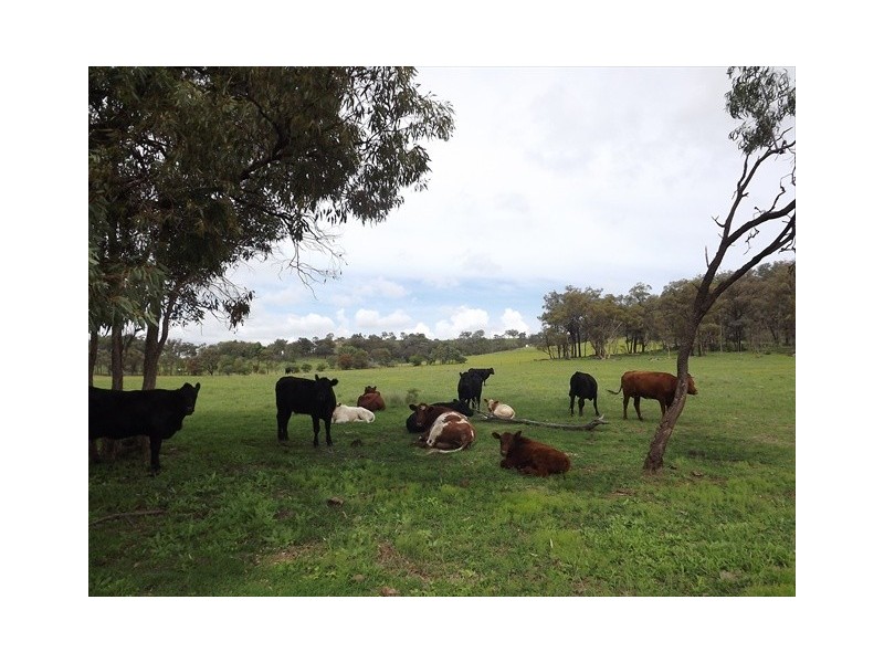 Coonabarabran NSW 2357