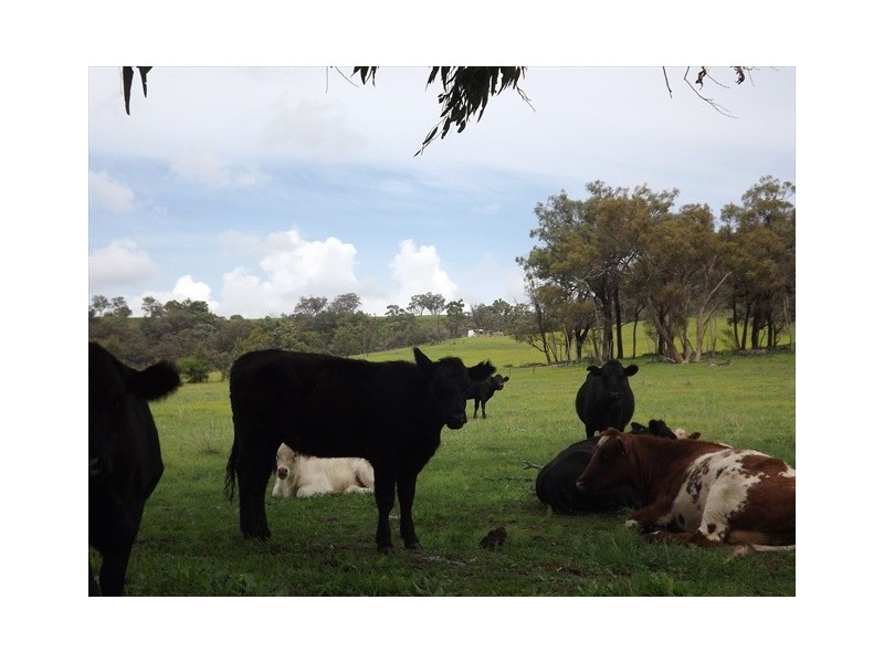 Coonabarabran NSW 2357