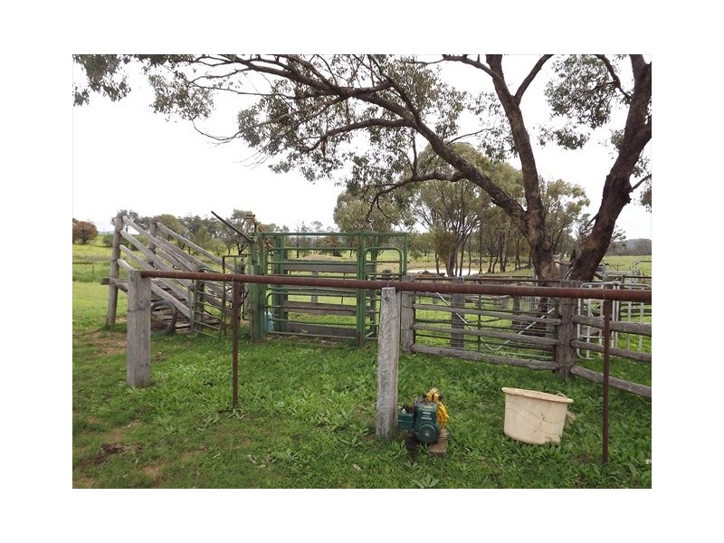 Coonabarabran NSW 2357