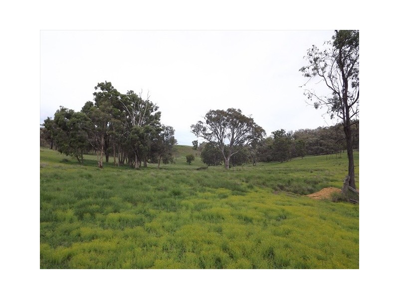 Coonabarabran NSW 2357