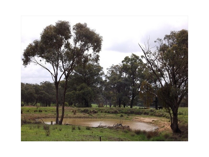 Coonabarabran NSW 2357