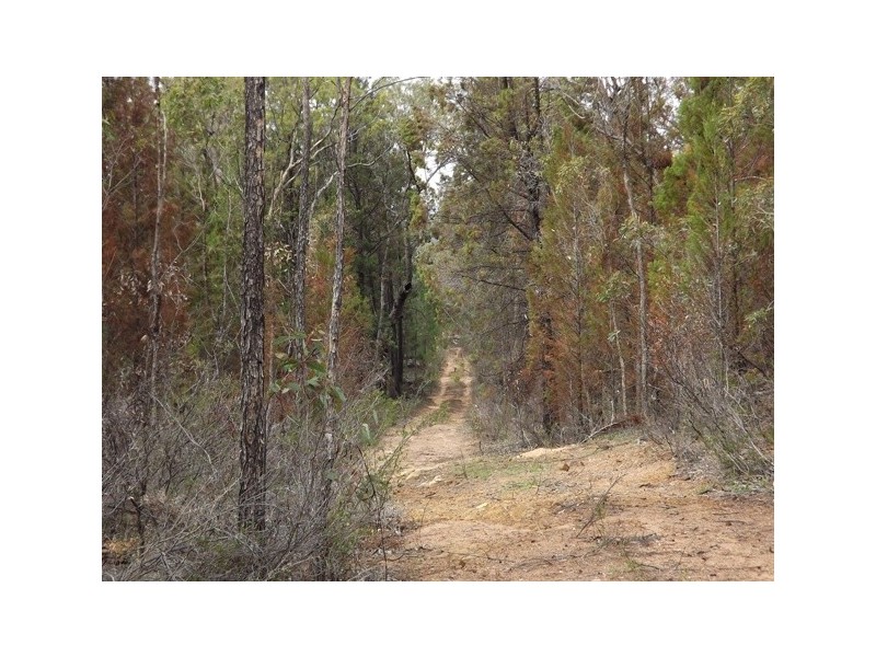 Lot Kurrajong Rd, Coonabarabran NSW 2357