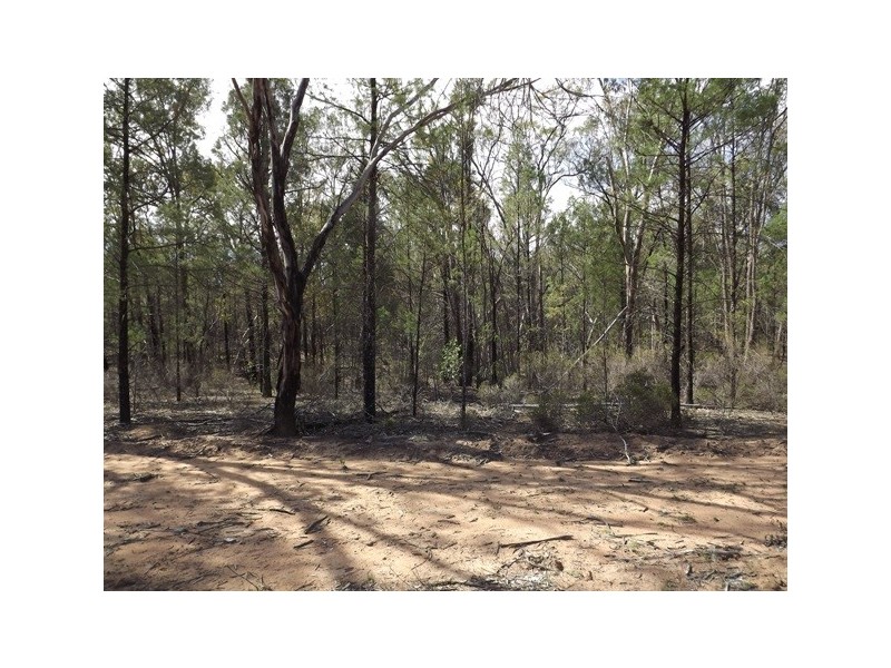 Lot Kurrajong Rd, Coonabarabran NSW 2357