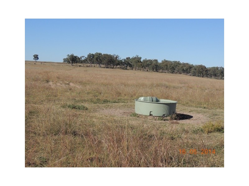 “Glen Alvon” Coonabarabran Road, Binnaway NSW 2395