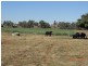 “Glen Alvon” Coonabarabran Road, Binnaway NSW 2395