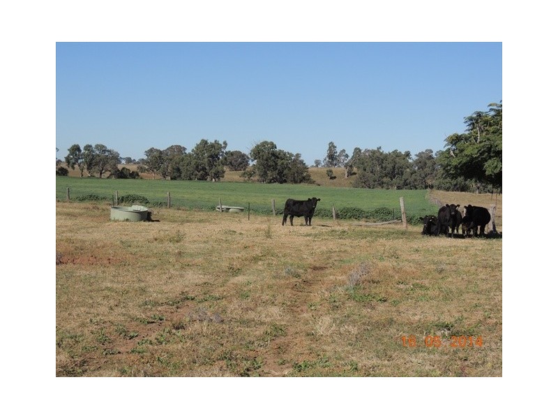 “Glen Alvon” Coonabarabran Road, Binnaway NSW 2395