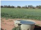 “Glen Alvon” Coonabarabran Road, Binnaway NSW 2395
