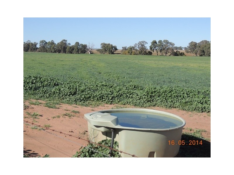 “Glen Alvon” Coonabarabran Road, Binnaway NSW 2395