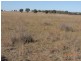 “Glen Alvon” Coonabarabran Road, Binnaway NSW 2395