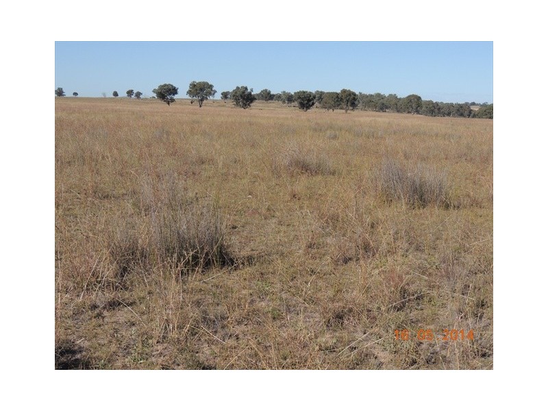 “Glen Alvon” Coonabarabran Road, Binnaway NSW 2395