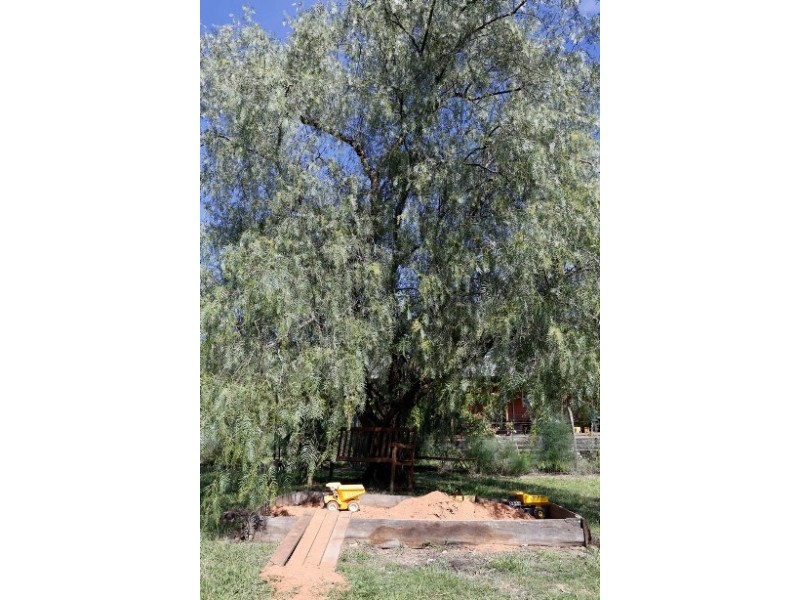 “Canopus” Guinema Road, Bugaldie NSW 2357