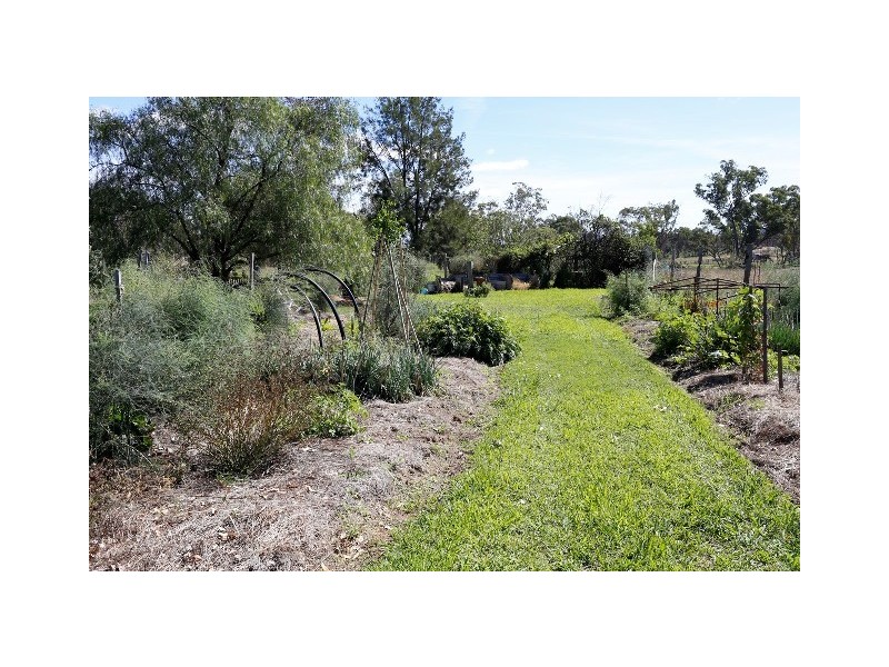 “Canopus” Guinema Road, Bugaldie NSW 2357