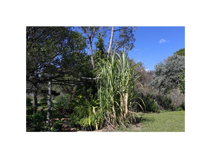 “Canopus” Guinema Road, Bugaldie NSW 2357