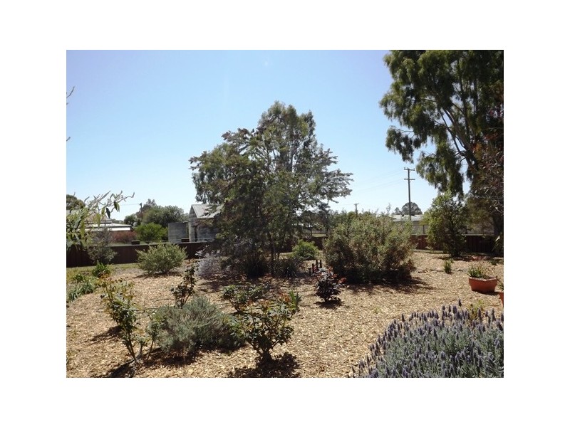 17 Narren St, Baradine NSW 2396