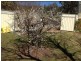 1 Hagan Ave, Coonabarabran NSW 2357