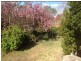 1 Hagan Ave, Coonabarabran NSW 2357