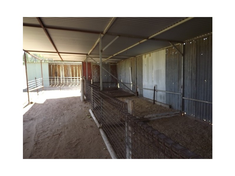 Lot 11 Gumnut Road, Coonabarabran NSW 2357