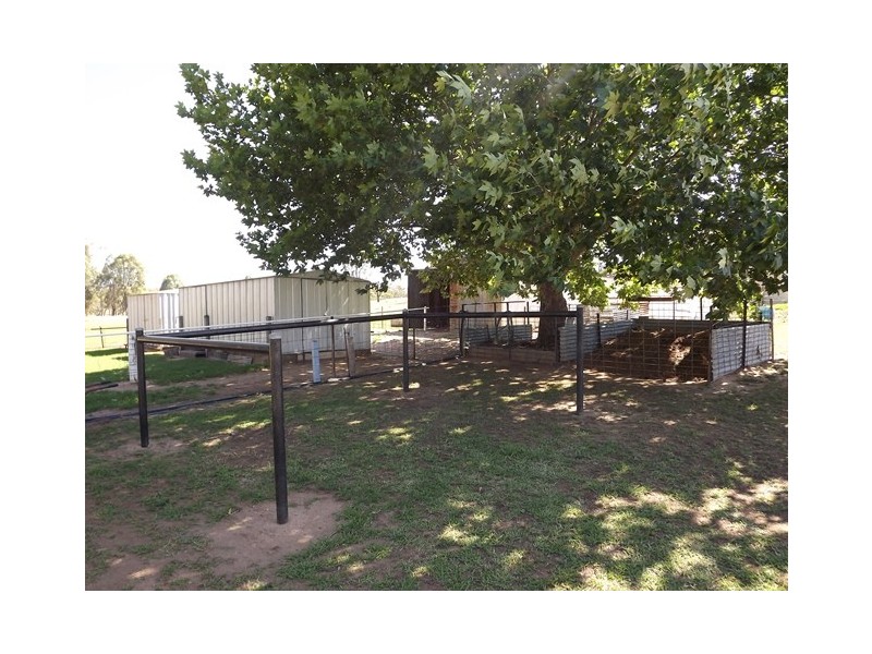 Lot 11 Gumnut Road, Coonabarabran NSW 2357