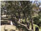 Lot 22 River Road, Coonabarabran NSW 2357