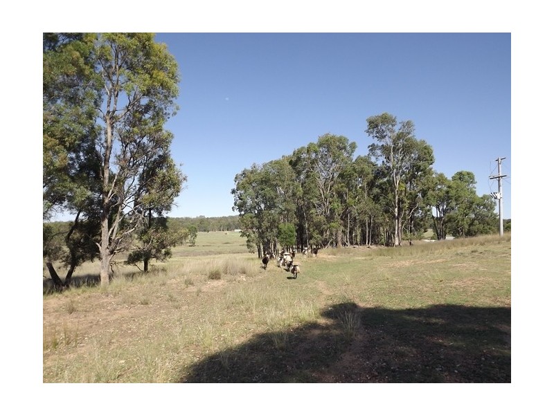 Lot 10 Gumnut Road, Coonabarabran NSW 2357