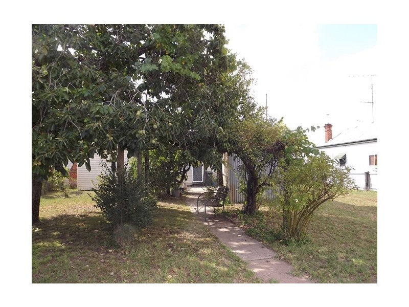 118 Dalgarno St, Coonabarabran NSW 2357