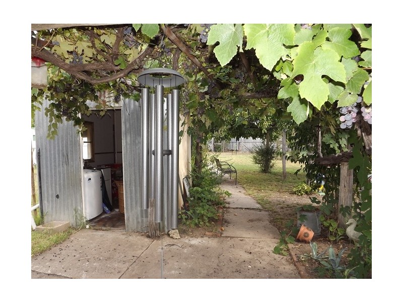 118 Dalgarno St, Coonabarabran NSW 2357