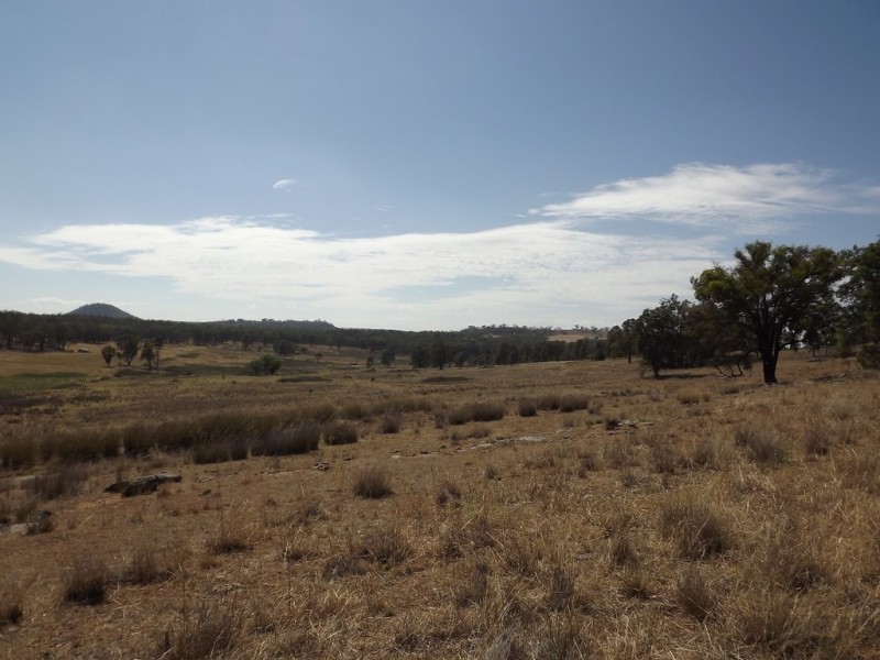 Coonabarabran NSW 2357