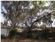 22 Camp St, Coonabarabran NSW 2357