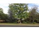 16 Tannabah St, Coonabarabran NSW 2357