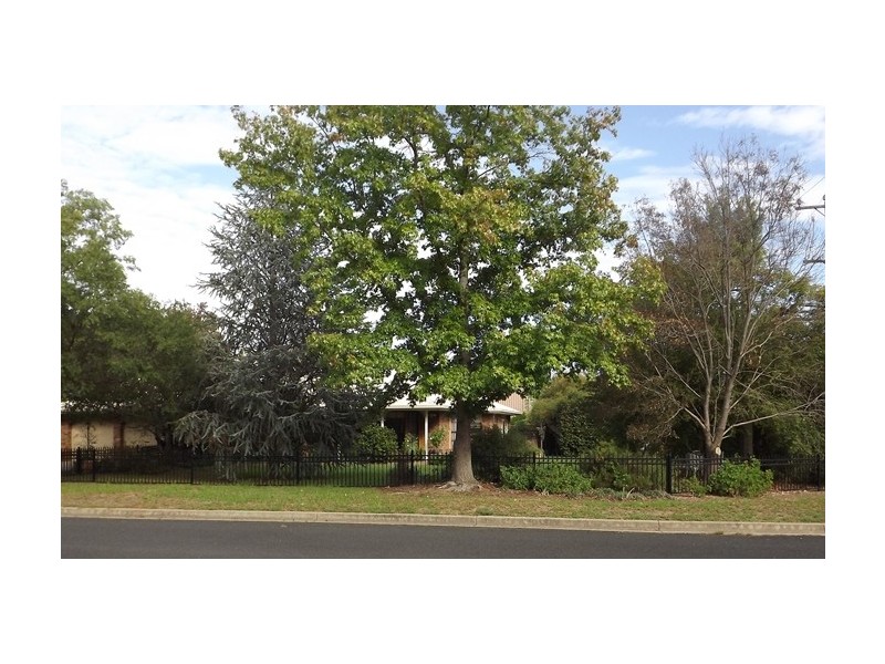 16 Tannabah St, Coonabarabran NSW 2357