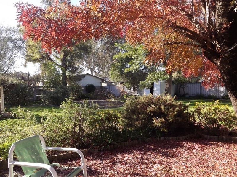 121 Cassilis St, Coonabarabran NSW 2357