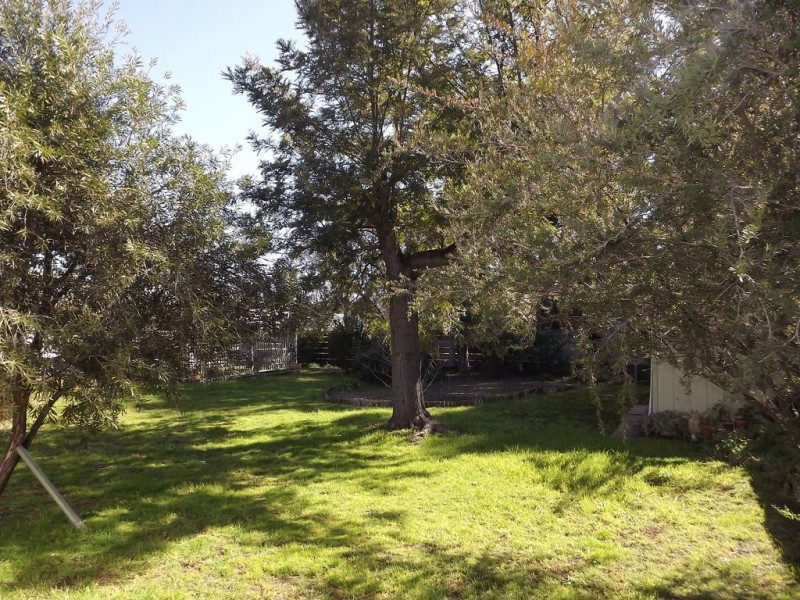 121 Cassilis St, Coonabarabran NSW 2357