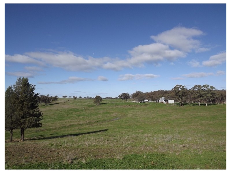 Warrumbrae Newell Highway, Coonabarabran NSW 2357