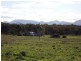 Warrumbrae Newell Highway, Coonabarabran NSW 2357