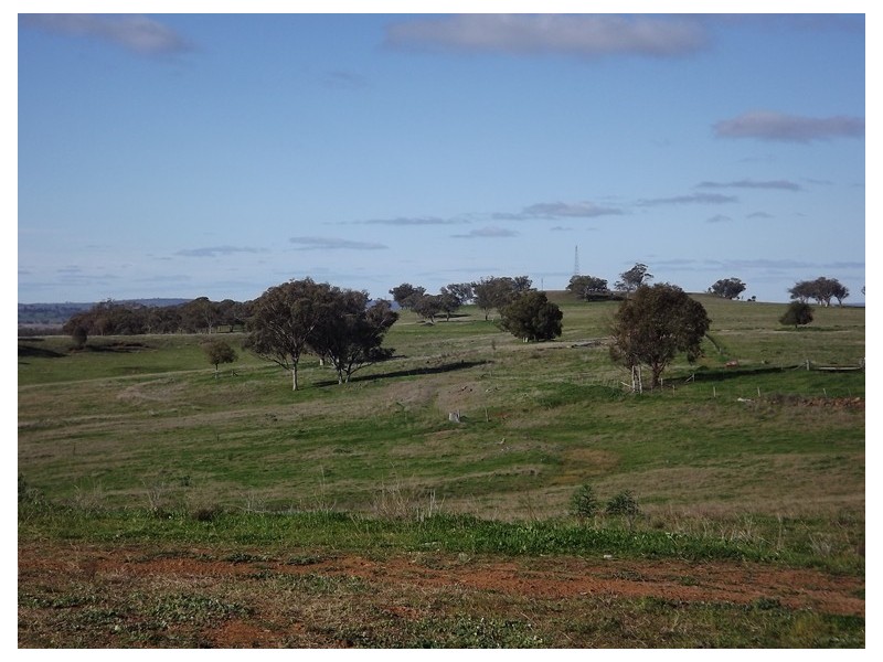 Warrumbrae Newell Highway, Coonabarabran NSW 2357