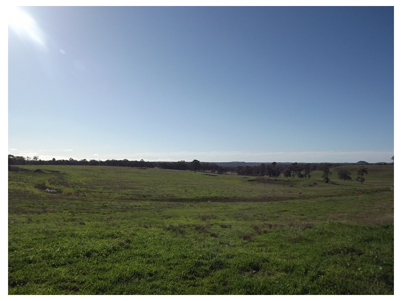 Warrumbrae Newell Highway, Coonabarabran NSW 2357