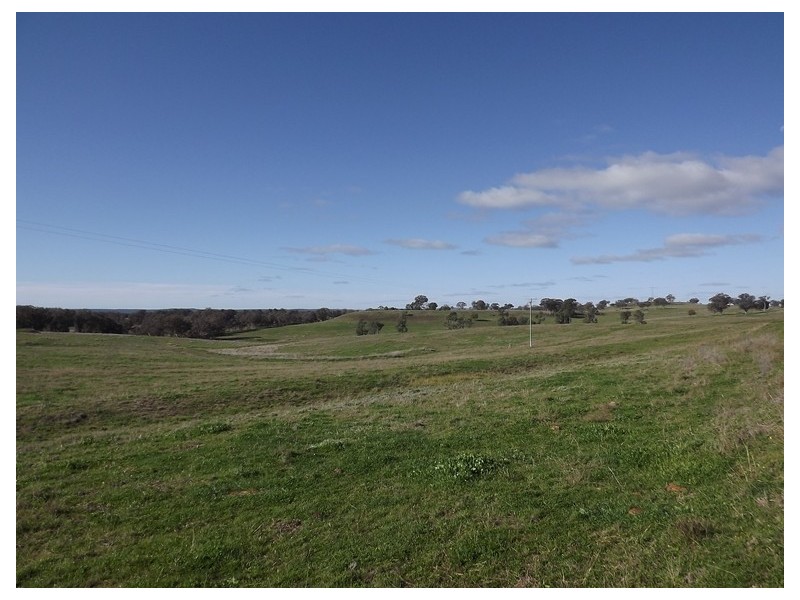 Warrumbrae Newell Highway, Coonabarabran NSW 2357
