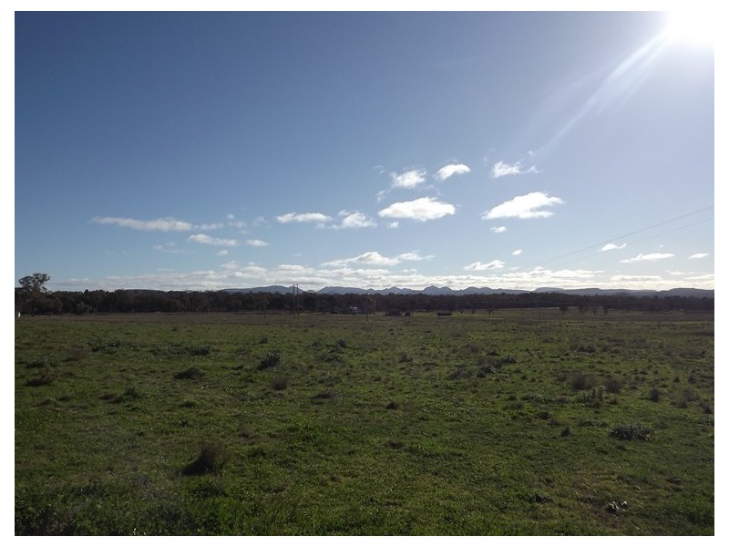 Warrumbrae Newell Highway, Coonabarabran NSW 2357